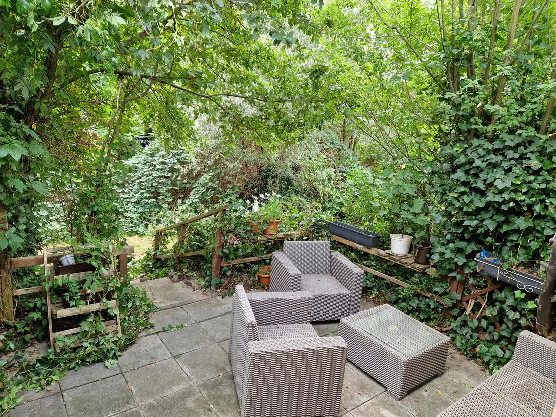Südterrasse mit Gartenmöbeln inmitten dichter grüner Bepflanzung